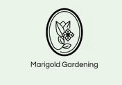 Marigold Gardening